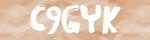 Captcha Value