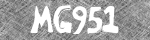 Captcha Value