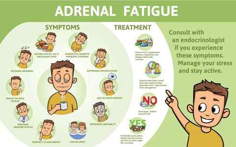 animated illustration of adrenal fatigue's symptoms and treatment