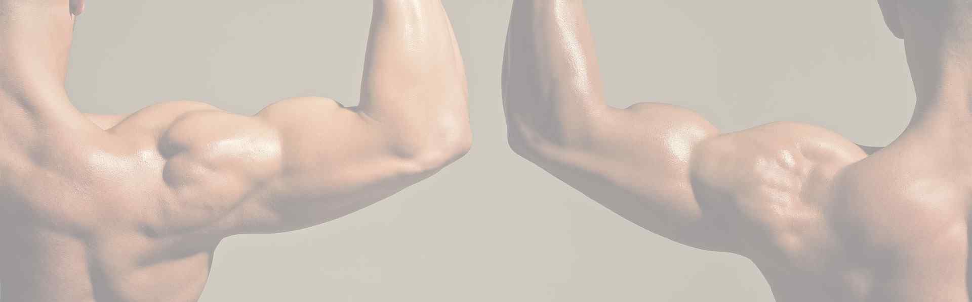 2 parallel muscular arms of men