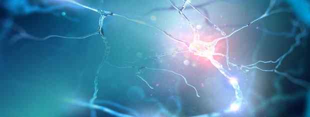 Multiple Sclerosis: The Signs, Risks, and a Look at Low-Dose Naltrexone Treatment 