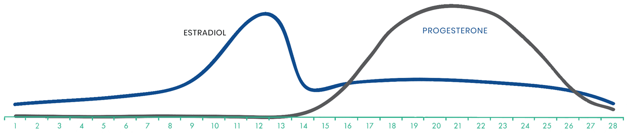 graph for estradiol and progesterone