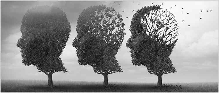 a group of trees in the shape of a human head